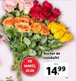 Lidl Buchet de trandafiri Ofertă