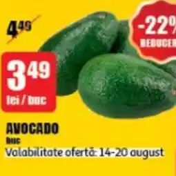AVOCADO