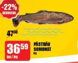 PĂSTRĂV SOMONAT
