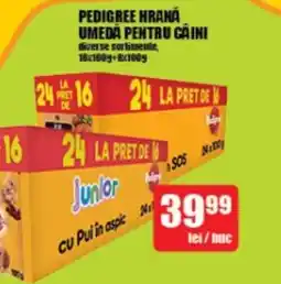Auchan PEDIGREE HRANĂ UMEDA PENTRU CAINI Ofertă