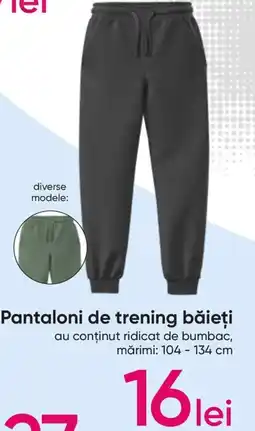 Pantaloni de trening băieţi
