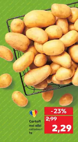 Kaufland Cartofi noi albi Ofertă