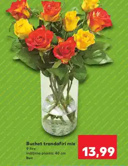 Kaufland Buchet trandafiri mix Ofertă