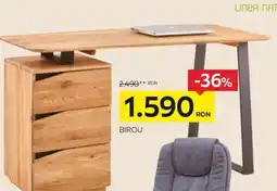 XXXLutz BIROU Ofertă