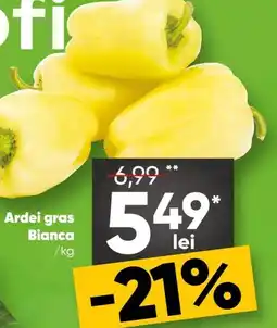 PROFI Ardei gras Bianca Ofertă