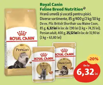 Fressnapf Royal Canin Feline Breed Nutrition Ofertă