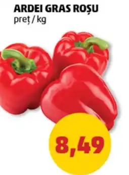 Penny Ardei gras roșu Ofertă