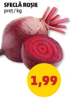 Sfeclă rosie