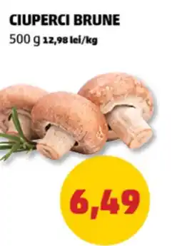 Penny Ciuperci brune Ofertă