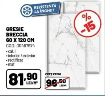 Ambient Gresie breccia Ofertă