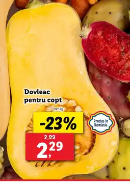 Lidl Dovleac pentru copt Ofertă