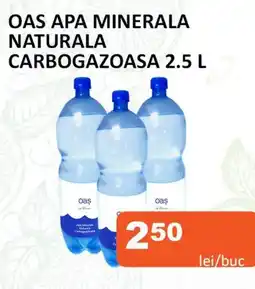 OAS Apa Minerala Naturala Carbogazoasa