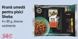 Carrefour Hrană umedă pentru pisici SHEBA Ofertă