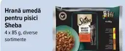 Carrefour Hrană umedă pentru pisici SHEBA Ofertă