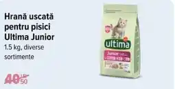 Carrefour Hrană uscată pentru pisici ULTIMA Junior Ofertă