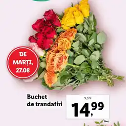 Lidl Buchet de trandafiri Ofertă