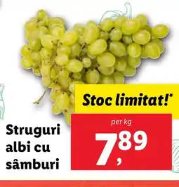 Lidl Struguri albi cu sâmburi Ofertă