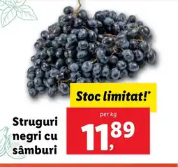 Lidl Struguri negri cu sâmburi Ofertă
