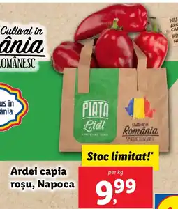 Lidl Ardei capia roşu, Napoca Ofertă