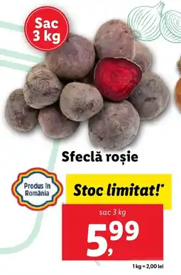 Lidl Sfeclă roşie Ofertă
