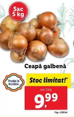 Lidl Ceapă galbenă Ofertă