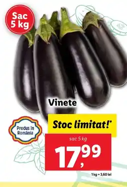 Lidl Vinete Ofertă