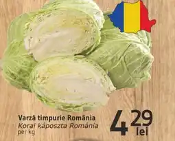 Supeco Varză timpurie România Ofertă