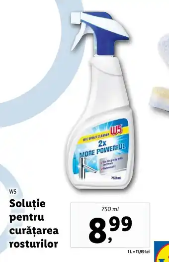 Lidl W5 Soluţie pentru curăţarea rosturilor Ofertă