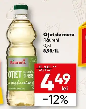PROFI Otet de mere RAURENI Ofertă