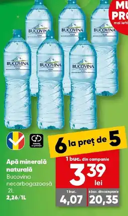 PROFI BUCOVINA Apă minerală naturală Ofertă