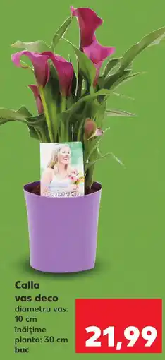 Kaufland Calla vas deco Ofertă