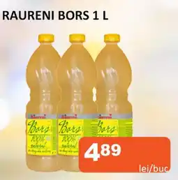 RAURENI Bors