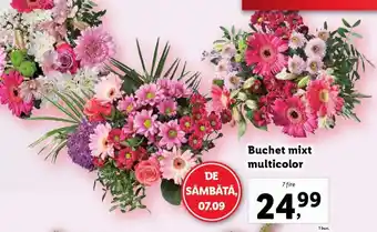 Lidl Buchet mixt multicolor Ofertă