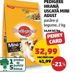 Penny PEDIGREE Hrană Uscată Mini Adult Ofertă