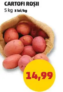 Penny Cartofi Roşii Ofertă