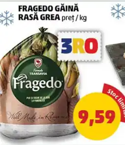 Penny Fragedo Găină Rasă Grea Ofertă