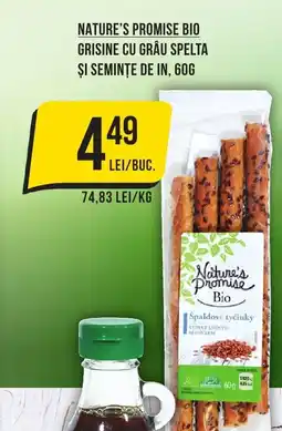 NATURE'S PROMISE BIO Grisine cu Grâu Spelta Si Seminţe De In