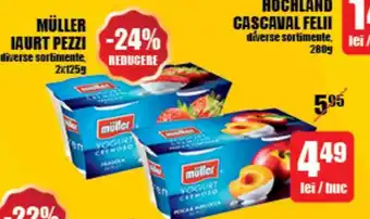 Auchan MÜLLER Iaurt Pezzi Ofertă