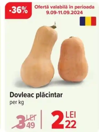 Carrefour Market Dovleac plăcintar Ofertă
