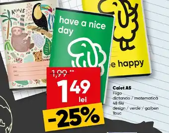PROFI Caiet A5 Ofertă
