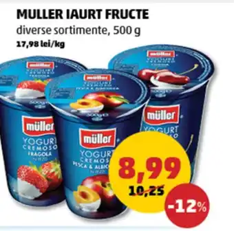 Penny MULLER Iaurt Fructe Ofertă