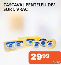 Unicarm Cascaval Penteleu div. sort. Vrac Ofertă