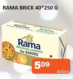 Unicarm RAMA Brick 40 Ofertă