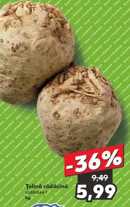 Kaufland Telină rădăcină Ofertă