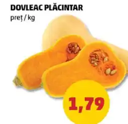 Penny Dovleac Plăcintar Ofertă