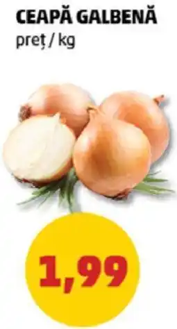 Penny Ceapă Galbenă Ofertă