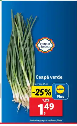 Lidl Ceapă verde Ofertă