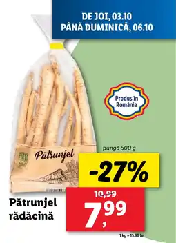 Lidl Pătrunjel rădăcină Ofertă