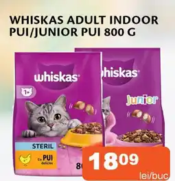 Unicarm WHISKAS Adult Indoor Pui/Junior Pui Ofertă