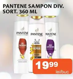 PANTENE Sampon div. sort